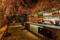 Zuma Restaurant