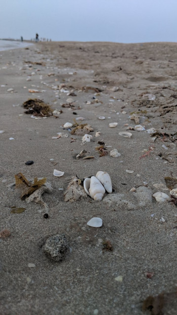 Umm Al Quwain Beach