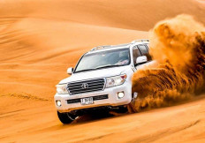 Desert Dreams Tours & Safari