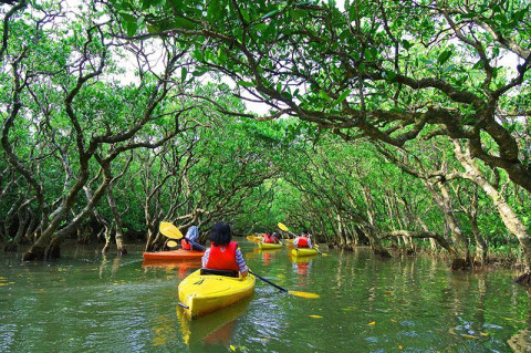 Eastern Mangrove Lagoon National Park