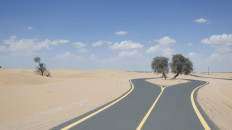 Al Qudra Cycle Path