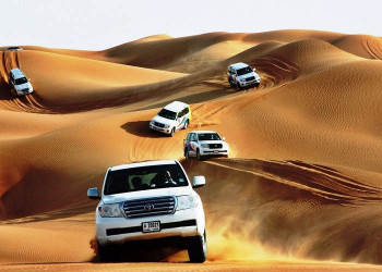 Dubai Safari