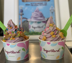 Yogurtland