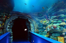 Sharjah Aquarium