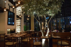 Market Kitchen
