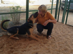 Animal Care Center
