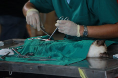 Al Ter For Veterinary Medicine & Equipment