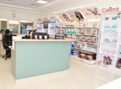 The  Veterinary hospital