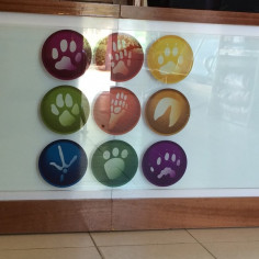 Vetcare Veterinary