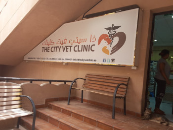 The City Vet Clinic, JVT branch