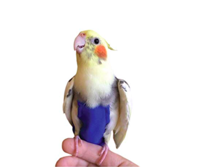 Thani Birds Accessories Trading
