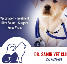 Doctor Samir