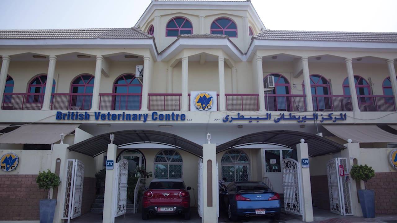British Veterinary Center