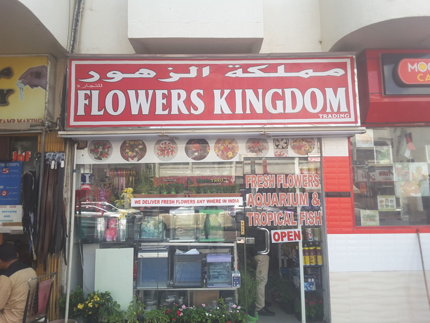 Flowers Kingdom Trading