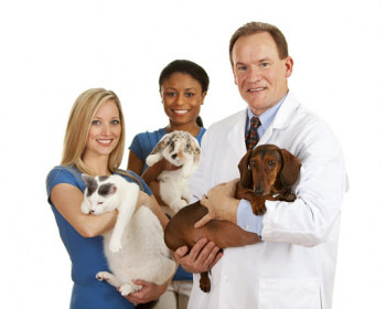German Standard Veterinary Medicine Trading
