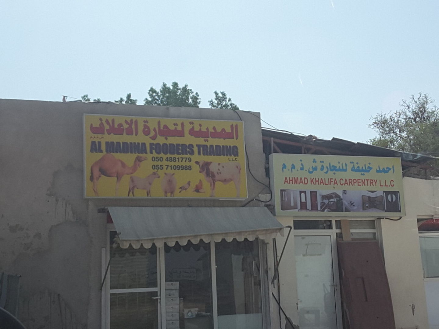 Al Madina Fooders Trading