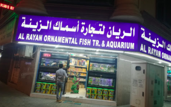Al Rayan Ornamental Fish Trading & Aquarium