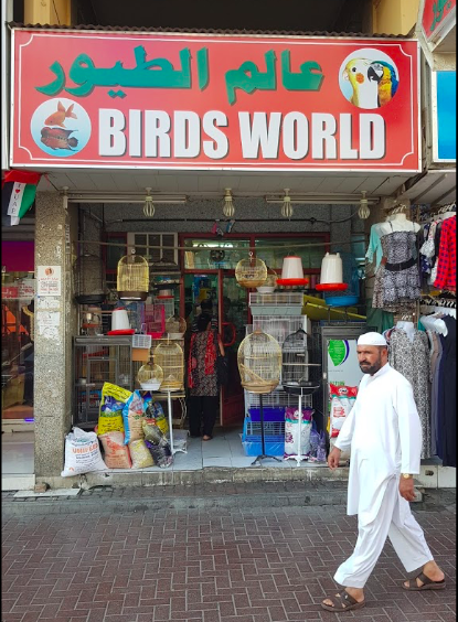 Birds World