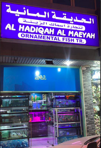 Al Hadiqah Al Maeyah Ornamental Fish Trading