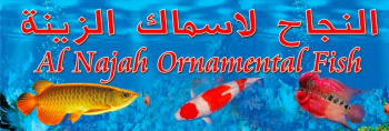 Al Najah Ornamental Fish