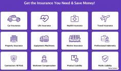 Al Raha Insurance Broker
