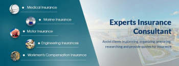 Experts Insurance Consultant