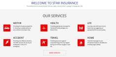 Star Insurance Services Company