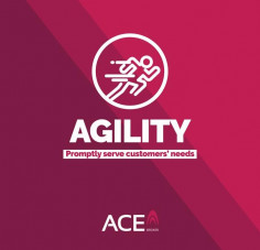 ACE Insurance Brokers