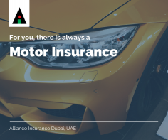 Alliance Insurance