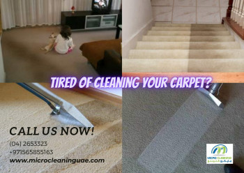 Micro Bulding Cleaning