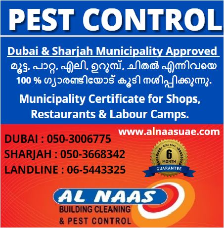Al Naas Building Cleaning & Pest Control