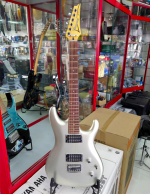 Zak Electronics and Musical Instruments Co.