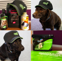 Lillidale Animal Health