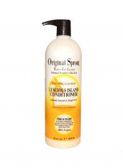 Luscious Island Conditioner 33oz