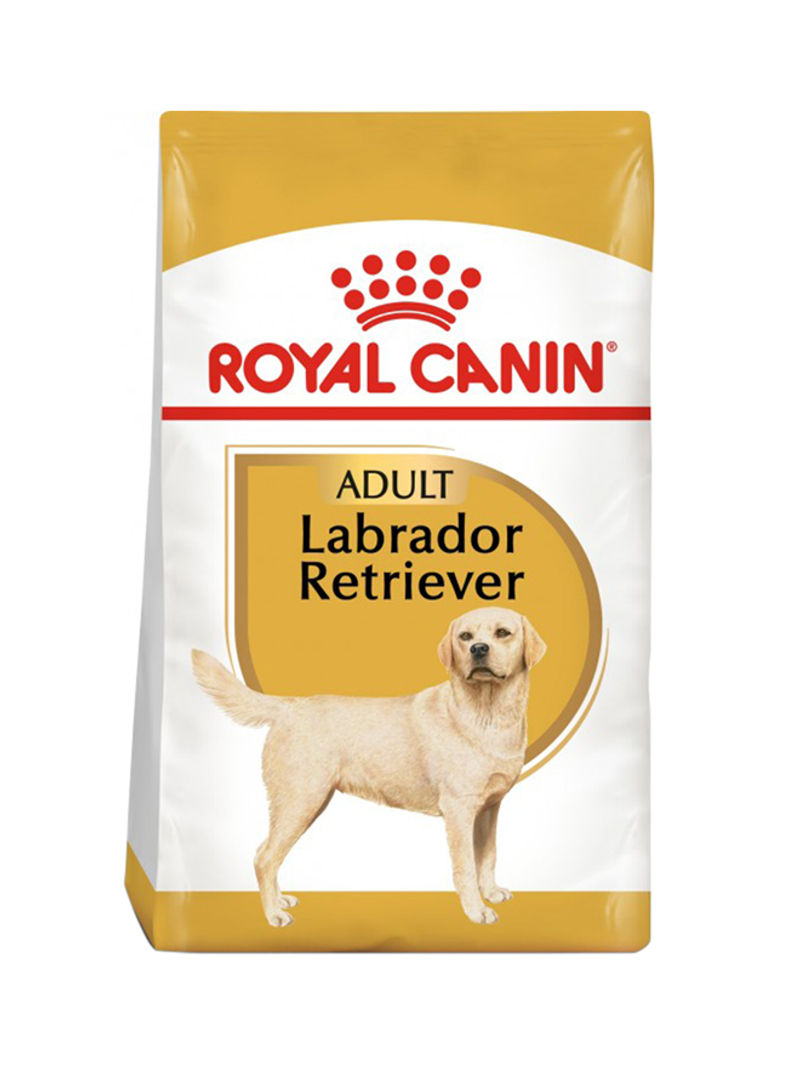 Labrador Retriever Adult Dry Dog Food 3kg