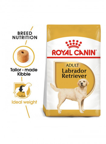 Labrador Retriever Adult Dry Dog Food 3kg