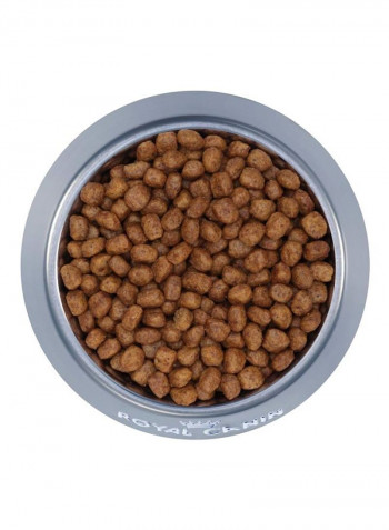 Adult Chihuahua Dry Food Brown