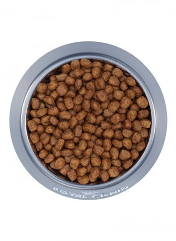 Adult Chihuahua Dry Food Brown