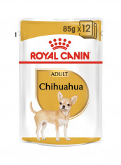 Adult Chihuahua Wet Dog Food 85g 12Pouch