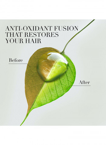 Renew Natural Shampoo + Conditioner With Micellar Water And Blue Ginger For Hair Purifying 400ml + 400ml