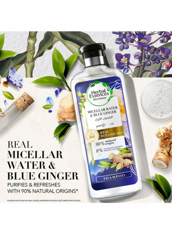 Renew Natural Shampoo + Conditioner With Micellar Water And Blue Ginger For Hair Purifying 400ml + 400ml