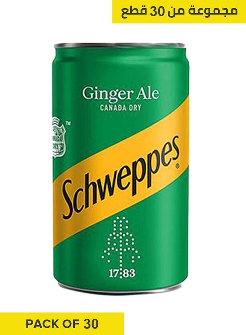 Ginger Ale Cans 150ml Pack Of 30 Ginger