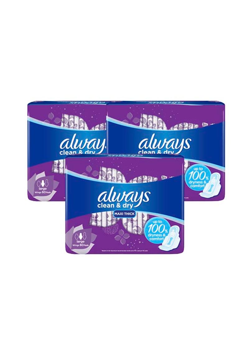 60 Large Maxi Thick Sanitary Pads With Wings, Pack of 3 White
