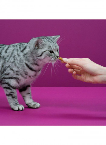 Temptations With Salmon Cat Treats 60g Pack of 8 0.48kg
