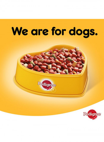 Beef And Vegetables Dry Dog Food Adult 3kg
