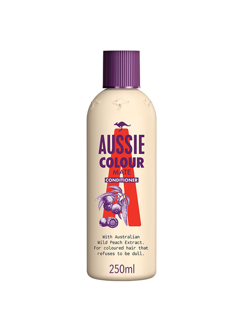 Colour Mate Conditioner For Vibrant, Coloured Hair Paraben Free 250ml