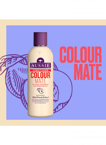 Colour Mate Conditioner For Vibrant, Coloured Hair Paraben Free 250ml