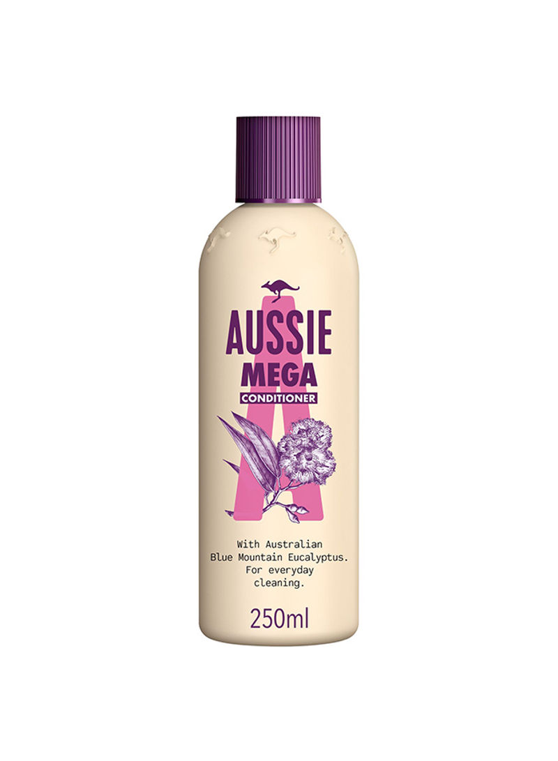 Paraben Free Mega Conditioner For Hair That Needs Volume Every Day 250ml