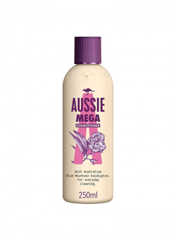 Paraben Free Mega Conditioner For Hair That Needs Volume Every Day 250مل