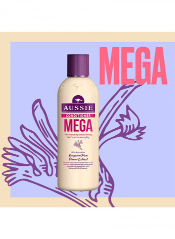 Paraben Free Mega Conditioner For Hair That Needs Volume Every Day 250ml